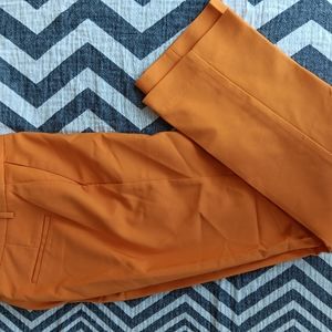 Express Columnist Pant